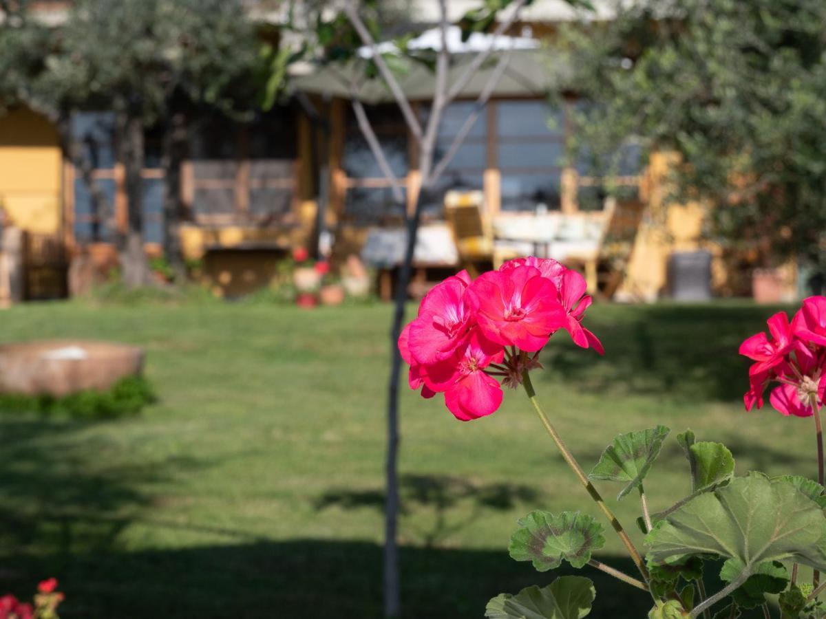B&B Casa Decimo Greve in Chianti Dış mekan fotoğraf